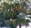 IMG_20240605_124116